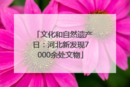 文化和自然遗产日：河北新发现7000余处文物
