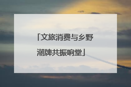 文旅消费与乡野潮牌共振响堂