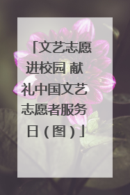 文艺志愿进校园 献礼中国文艺志愿者服务日（图）