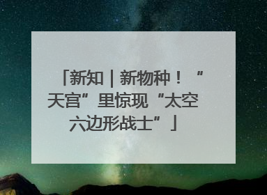 新知｜新物种！“天宫”里惊现“太空六边形战士”