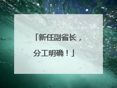 新任副省长，分工明确！