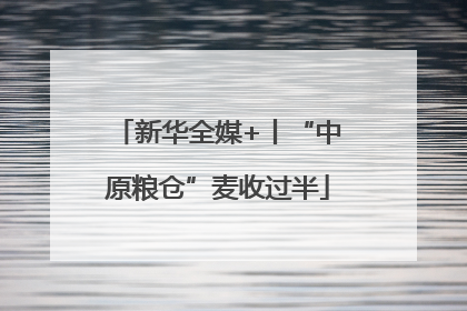 新华全媒+丨“中原粮仓”麦收过半