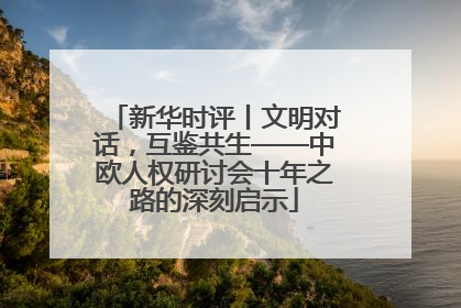 新华时评丨文明对话，互鉴共生——中欧人权研讨会十年之路的深刻启示