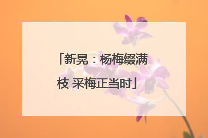 新晃：杨梅缀满枝 采梅正当时
