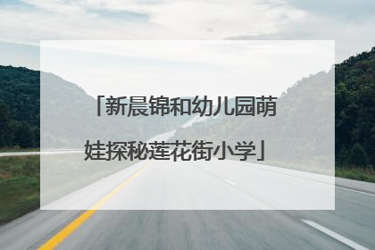 新晨锦和幼儿园萌娃探秘莲花街小学