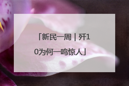 新民一周｜歼10为何一鸣惊人