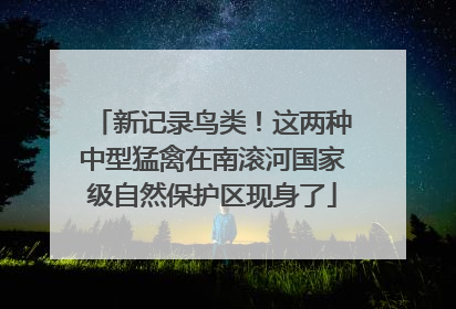 新记录鸟类！这两种中型猛禽在南滚河国家级自然保护区现身了