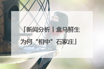 新闻分析丨盒马鲜生为何“相中”石家庄
