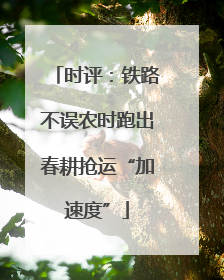 时评：铁路不误农时跑出春耕抢运“加速度”
