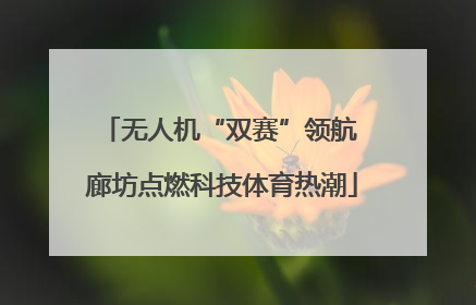 无人机“双赛”领航 廊坊点燃科技体育热潮