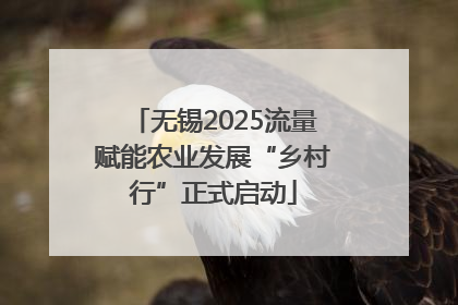 无锡2025流量赋能农业发展“乡村行”正式启动