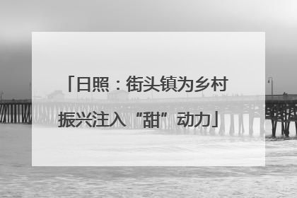 日照：街头镇为乡村振兴注入“甜”动力