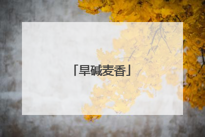 旱碱麦香