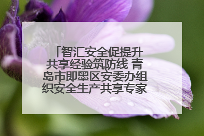 智汇安全促提升 共享经验筑防线 青岛市即墨区安委办组织安全生产共享专家现场观摩学习活动