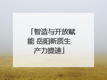 智造与开放赋能 岳阳新质生产力提速