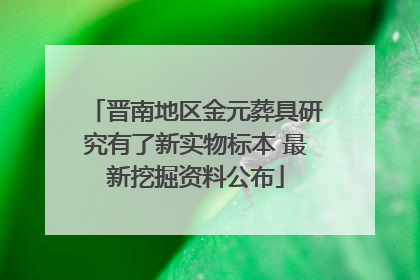 晋南地区金元葬具研究有了新实物标本 最新挖掘资料公布