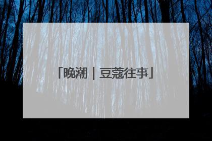 晚潮｜豆蔻往事