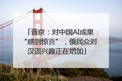 普京：对中国AI成果“感到惊喜”，俄民众对汉语兴趣正在增加