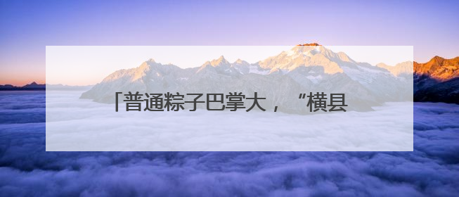 普通粽子巴掌大，“横县大粽”却像个巨无霸！