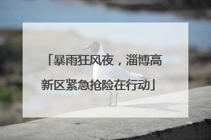 暴雨狂风夜，淄博高新区紧急抢险在行动