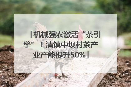 机械强农激活“茶引擎”！清镇中坝村茶产业产能提升50%