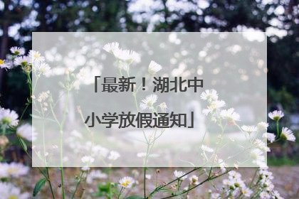 最新！湖北中小学放假通知