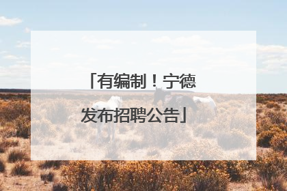 有编制！宁德发布招聘公告