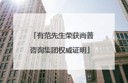 有范先生荣获尚普咨询集团权威证明