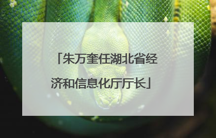 朱万奎任湖北省经济和信息化厅厅长
