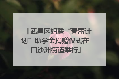 武昌区妇联“春蕾计划”助学金捐赠仪式在白沙洲街道举行