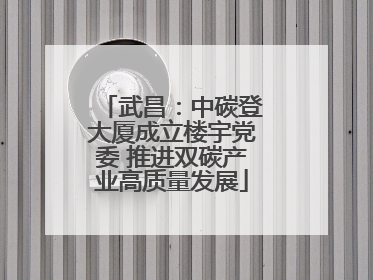 武昌：中碳登大厦成立楼宇党委 推进双碳产业高质量发展