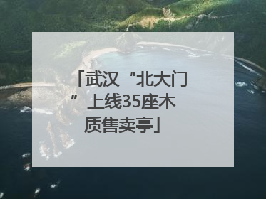 武汉“北大门”上线35座木质售卖亭