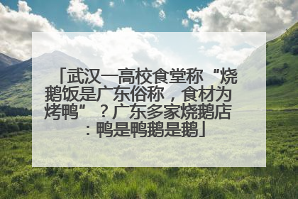 武汉一高校食堂称“烧鹅饭是广东俗称，食材为烤鸭”？广东多家烧鹅店：鸭是鸭鹅是鹅