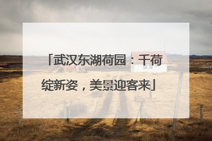武汉东湖荷园：千荷绽新姿，美景迎客来
