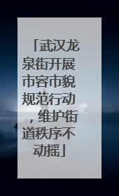 武汉龙泉街开展市容市貌规范行动，维护街道秩序不动摇