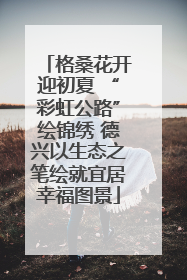 格桑花开迎初夏 “彩虹公路”绘锦绣 德兴以生态之笔绘就宜居幸福图景