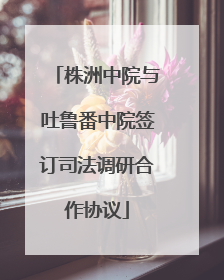 株洲中院与吐鲁番中院签订司法调研合作协议