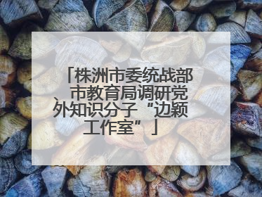 株洲市委统战部、市教育局调研党外知识分子“边颖工作室”