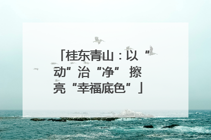 桂东青山：以“动”治“净” 擦亮“幸福底色”
