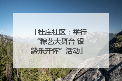 桂庄社区：举行“粽艺大舞台 银龄乐开怀”活动