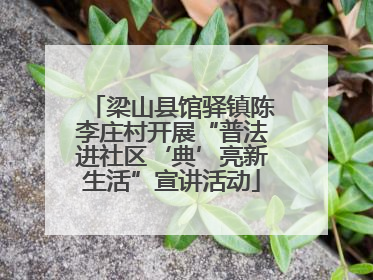 梁山县馆驿镇陈李庄村开展“普法进社区‘典’亮新生活”宣讲活动