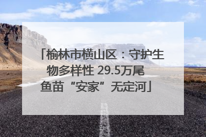 榆林市横山区：守护生物多样性 29.5万尾鱼苗“安家”无定河