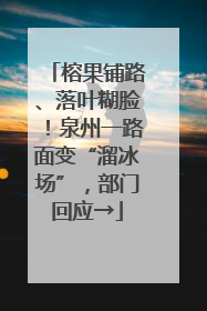 榕果铺路、落叶糊脸！泉州一路面变“溜冰场”，部门回应→