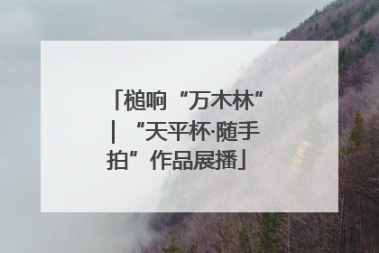 槌响“万木林”｜“天平杯·随手拍”作品展播