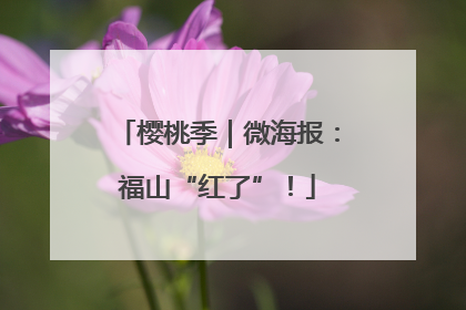 樱桃季｜微海报：福山“红了”！