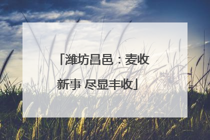 潍坊昌邑：麦收新事 尽显丰收