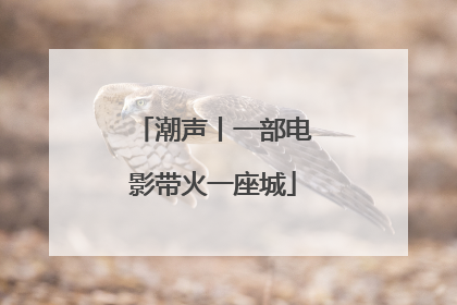 潮声丨一部电影带火一座城