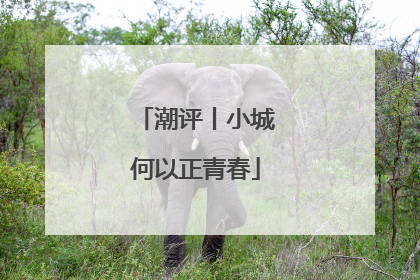 潮评丨小城何以正青春