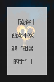 潮评丨西湖不欢迎“粗暴的手”
