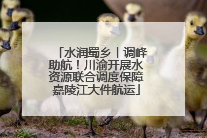 水润蜀乡丨调峰助航！川渝开展水资源联合调度保障嘉陵江大件航运